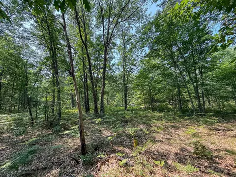 Exterior - 3985 Indian Trl, Custer, MI 49405 photo 16 of 21