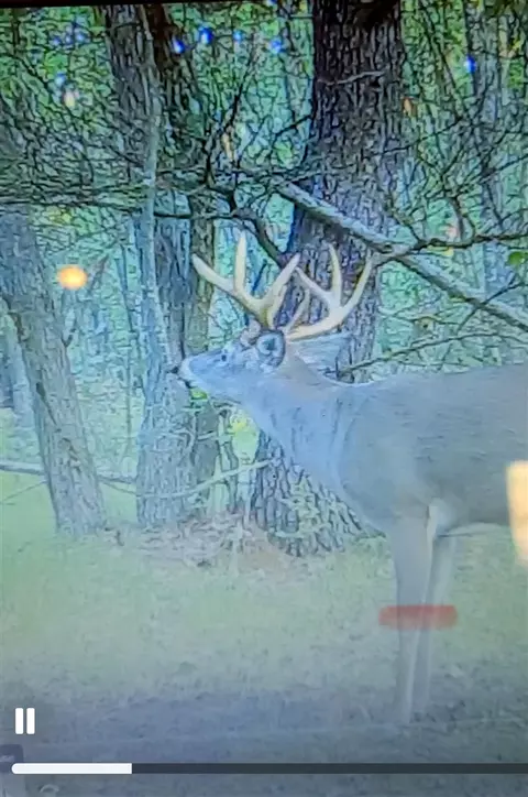 Other - 3985 Indian Trl, Custer, MI 49405 photo 19 of 24