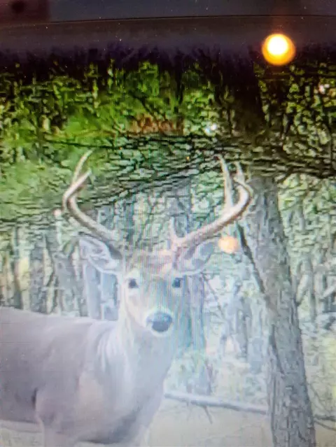 Other - 3985 Indian Trl, Custer, MI 49405 photo 15 of 24