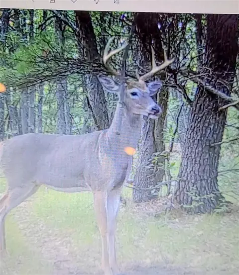 Other - 3985 Indian Trl, Custer, MI 49405 photo 23 of 24