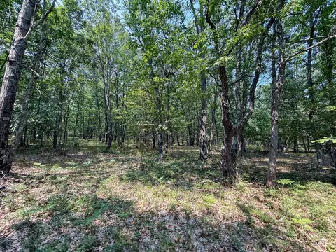 Exterior - 3985 Indian Trl, Custer, MI 49405 photo 19 of 21