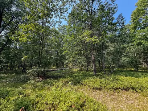 Exterior - 3985 Indian Trl, Custer, MI 49405 photo 18 of 21