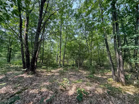 Exterior - 3985 Indian Trl, Custer, MI 49405 photo 15 of 21