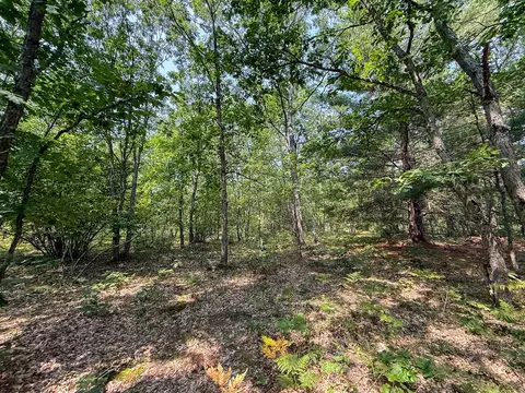 Exterior - 3985 Indian Trl, Custer, MI 49405 photo 14 of 21