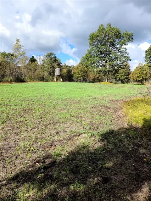 Exterior - 3985 Indian Trl, Custer, MI 49405 photo 10 of 21