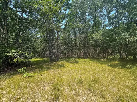 Exterior - 3985 Indian Trl, Custer, MI 49405 photo 11 of 21