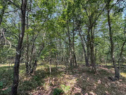 Exterior - 3985 Indian Trl, Custer, MI 49405 photo 12 of 21