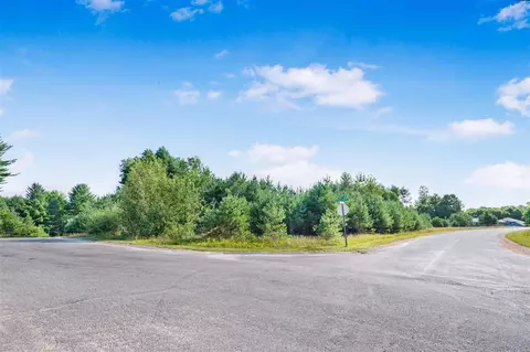 16568 Lot 29 Mitchell Creek Trl, Big Rapids, MI 49307