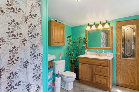 4438 Division, Mcbride, MI 48852 photo 28
