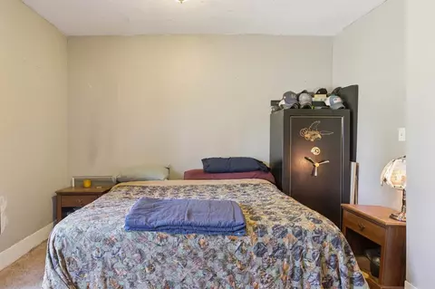 4438 Division, Mcbride, MI 48852 photo 25