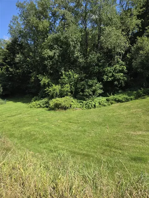 Exterior - 820 E Argyle, Jackson, MI 49202 photo 11 of 12