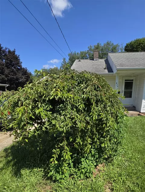 Exterior - 820 E Argyle, Jackson, MI 49202 photo 9 of 12