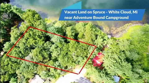 Vacant S Spruce, White Cloud, MI 49349