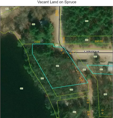 Vacant S Spruce, White Cloud, MI 49349 photo 4