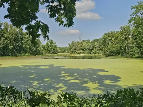 View/Area - 331 N Steer, Addison, MI 49220 photo 1 of 4