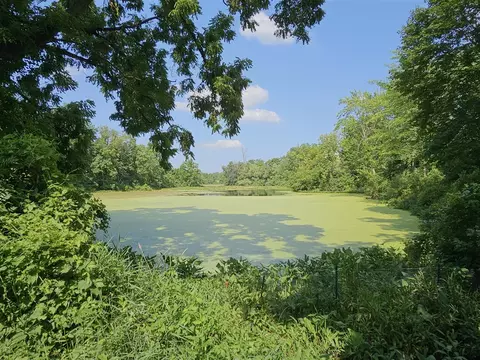 View/Area - 331 N Steer, Addison, MI 49220 photo 2 of 4