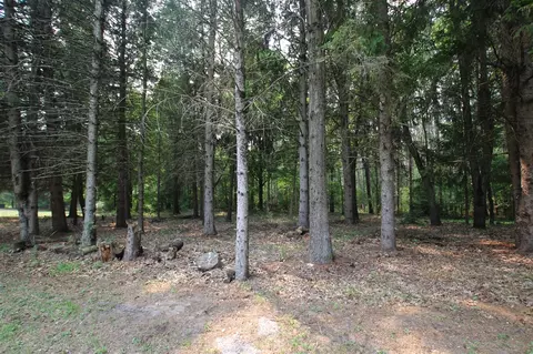 8023 E Garfield, Hesperia, MI 49421 photo 16