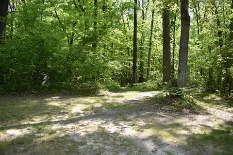 2186 88th, Bitely, MI 49309 photo 12