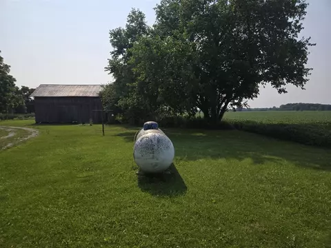 Exterior - 14320 Ostrander, Maybee, MI 48159 photo 10 of 23