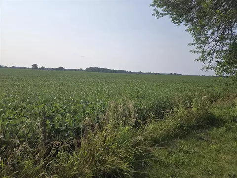 Other - 14320 Ostrander, Maybee, MI 48159 photo 13 of 13
