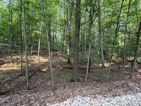 9619 Calgary, Canadian Lakes, MI 49346