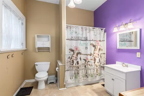 Bath - 341 E Main, Ionia, MI 48846 photo 3 of 3