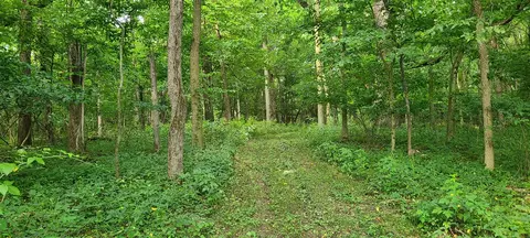 20 Acres 107th, Pullman, MI 49450 photo 15