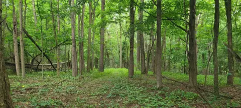 20 Acres 107th, Pullman, MI 49450 photo 3