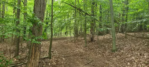 20 Acres 107th, Pullman, MI 49450 photo 8