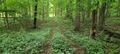 20 Acres 107th, Pullman, MI 49450 photo 6