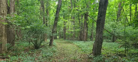 20 Acres 107th, Pullman, MI 49450 photo 4