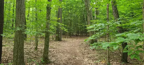 20 Acres 107th, Pullman, MI 49450 photo 10