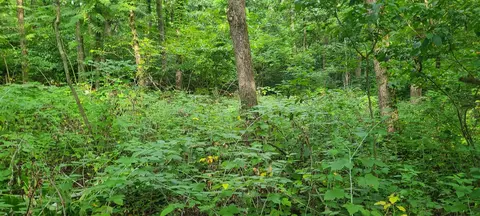 20 Acres 107th, Pullman, MI 49450 photo 14