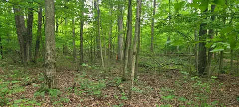 20 Acres 107th, Pullman, MI 49450 photo 11