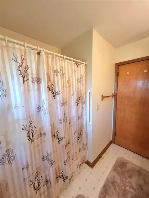 10910 North, Fowler, MI 48835 photo 25