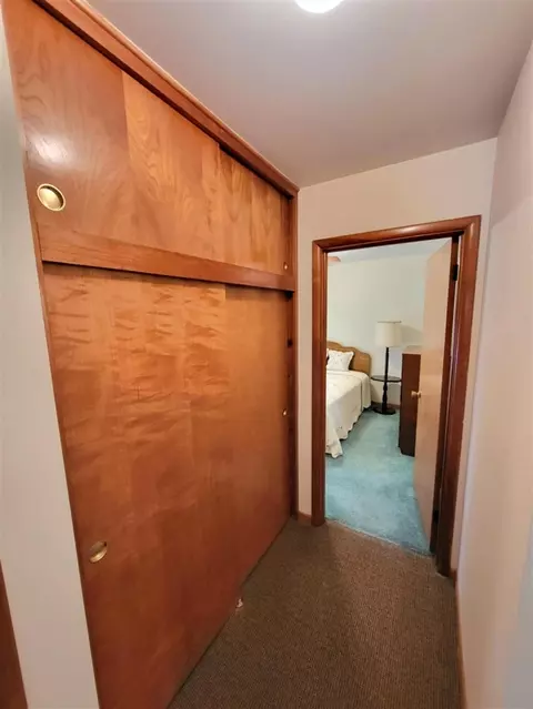 10910 North, Fowler, MI 48835 photo 28