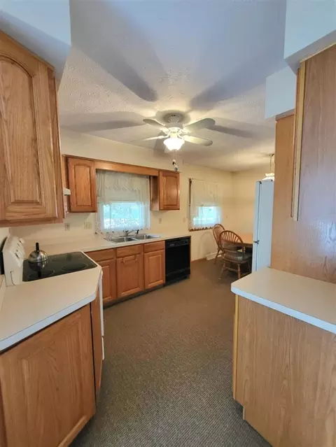 10910 North, Fowler, MI 48835 photo 12