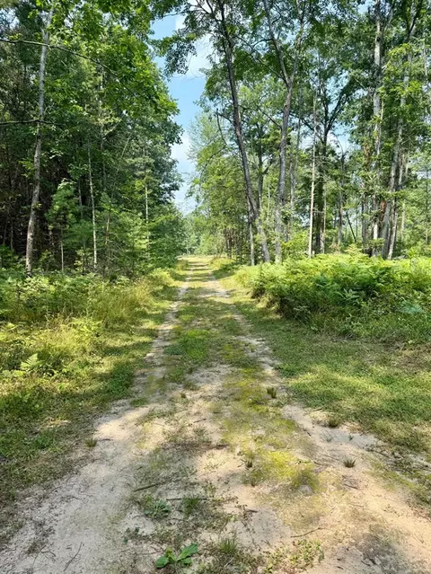 1 River, Brethren, MI 49619 photo 3