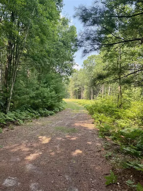 1 River, Brethren, MI 49619 photo 7