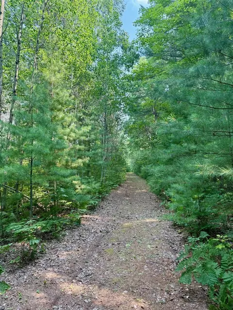1 River, Brethren, MI 49619 photo 9
