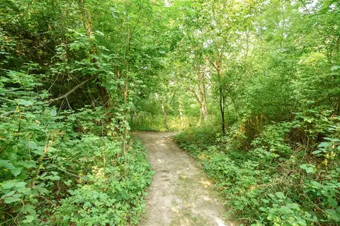 16027 E Uv, Fulton, MI 49052 photo 26