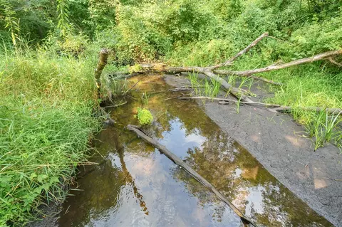 16027 E Uv, Fulton, MI 49052 photo 29