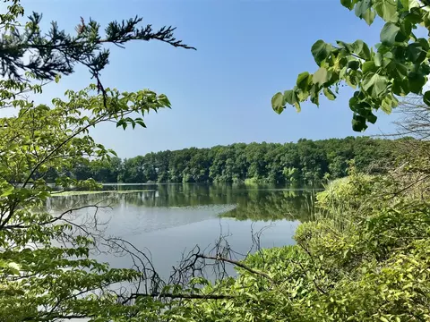 000 Wakeman, Mendon, MI 49072