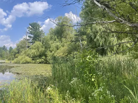 8337 Lake Lure Dr, Evart, MI 49631