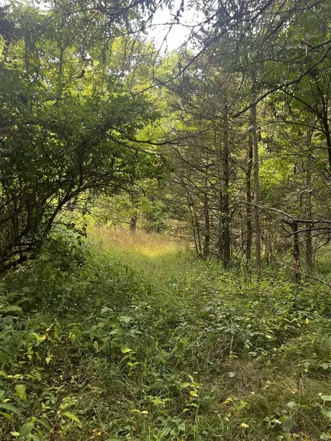 0 N Whites Brg, Belding, MI 48809 photo 3