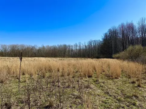 lot9 Foster Ln, South Haven, MI 49090