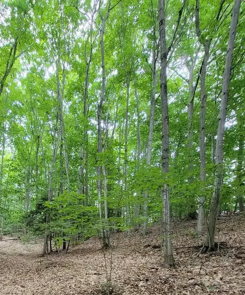 M22 Northwood Hwy, Arcadia, MI 49613 photo 5