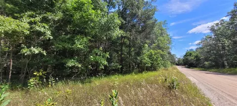 V/l Pine Hill, White Cloud, MI 49349 photo 2