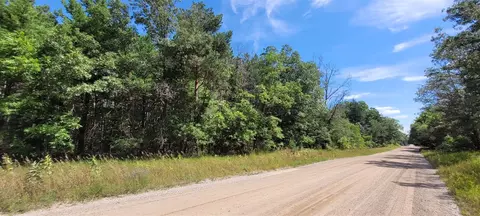 V/l Pine Hill, White Cloud, MI 49349 photo 4