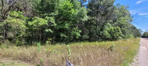 V/l Pine Hill, White Cloud, MI 49349 photo 5